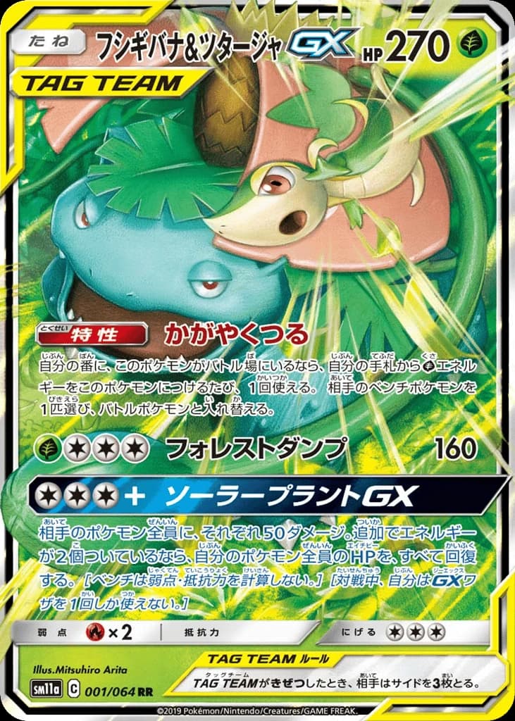 Venusaur & Snivy-GX (1)