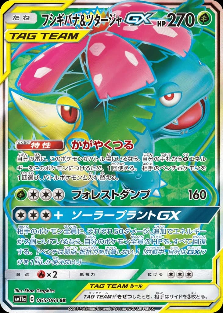 Venusaur & Snivy-GX (65)