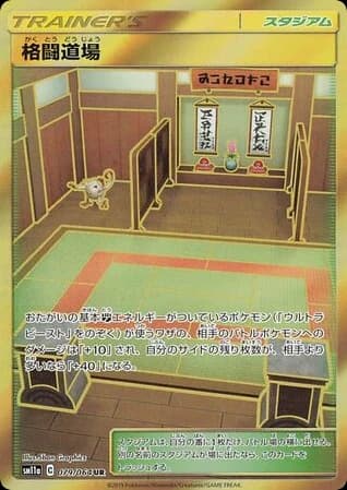 Martial Arts Dojo (79)