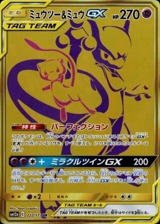 Mewtwo & Mew-GX (222)