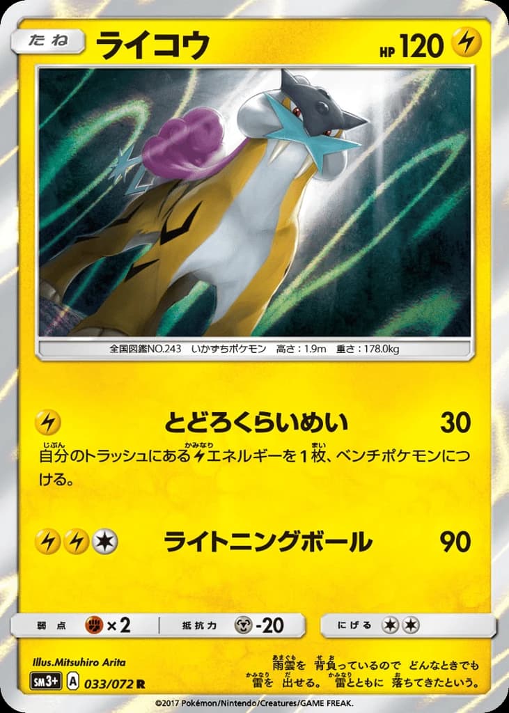 Raikou (33)