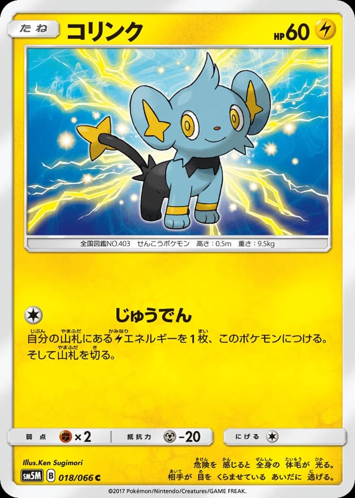 Shinx (18)