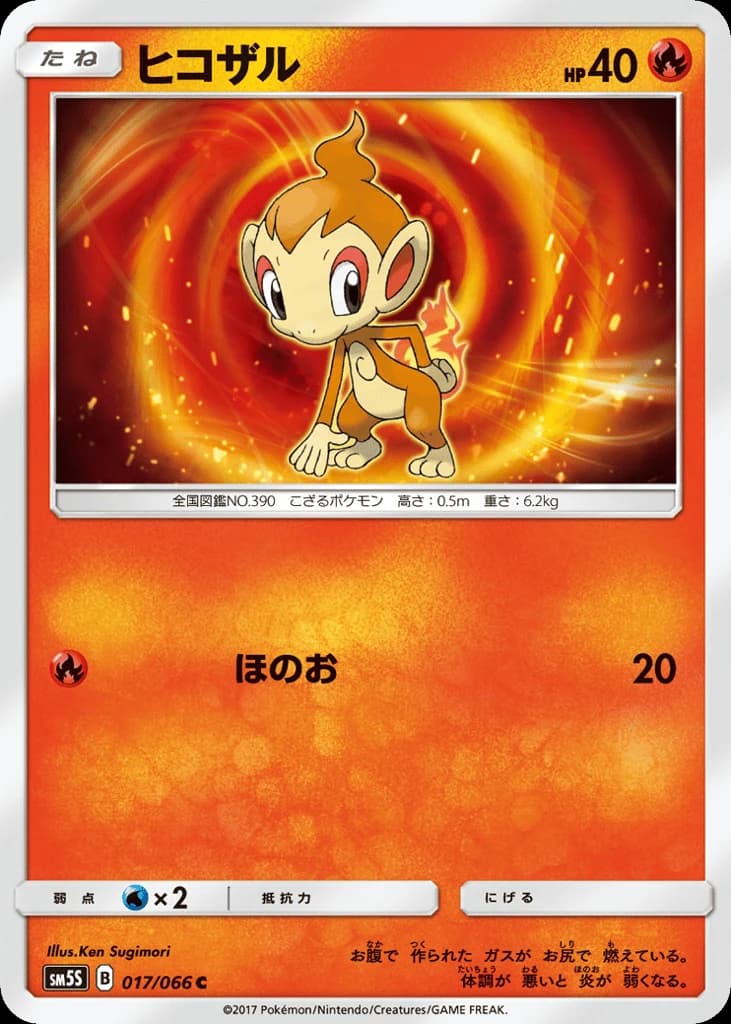 Chimchar (17)
