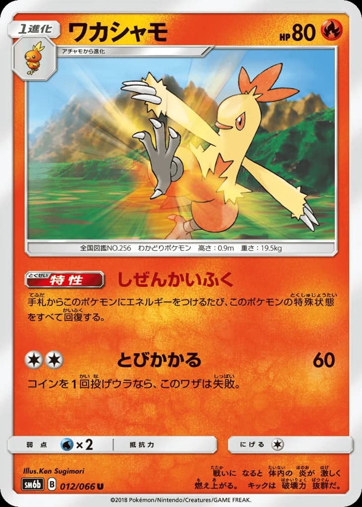 Combusken (12)