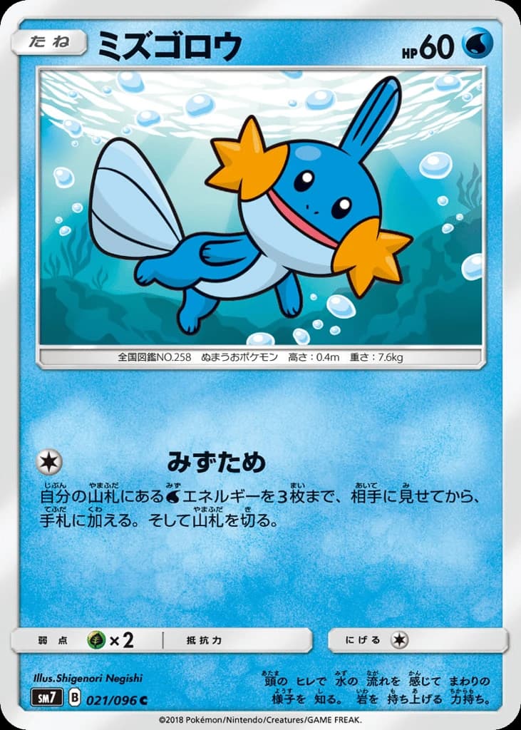 Mudkip (21)