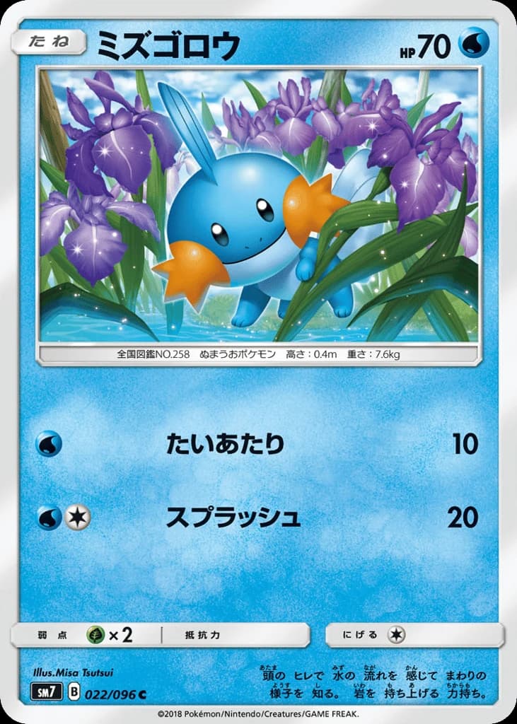 Mudkip (22)