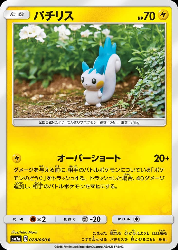 Pachirisu (28)