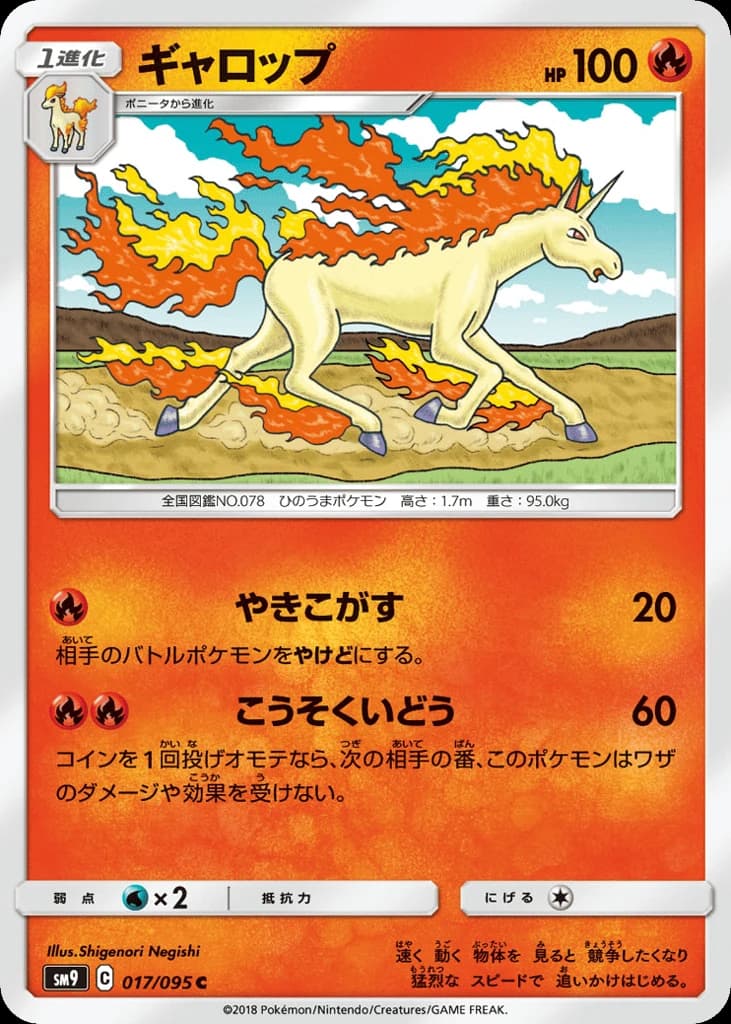 Rapidash (17)