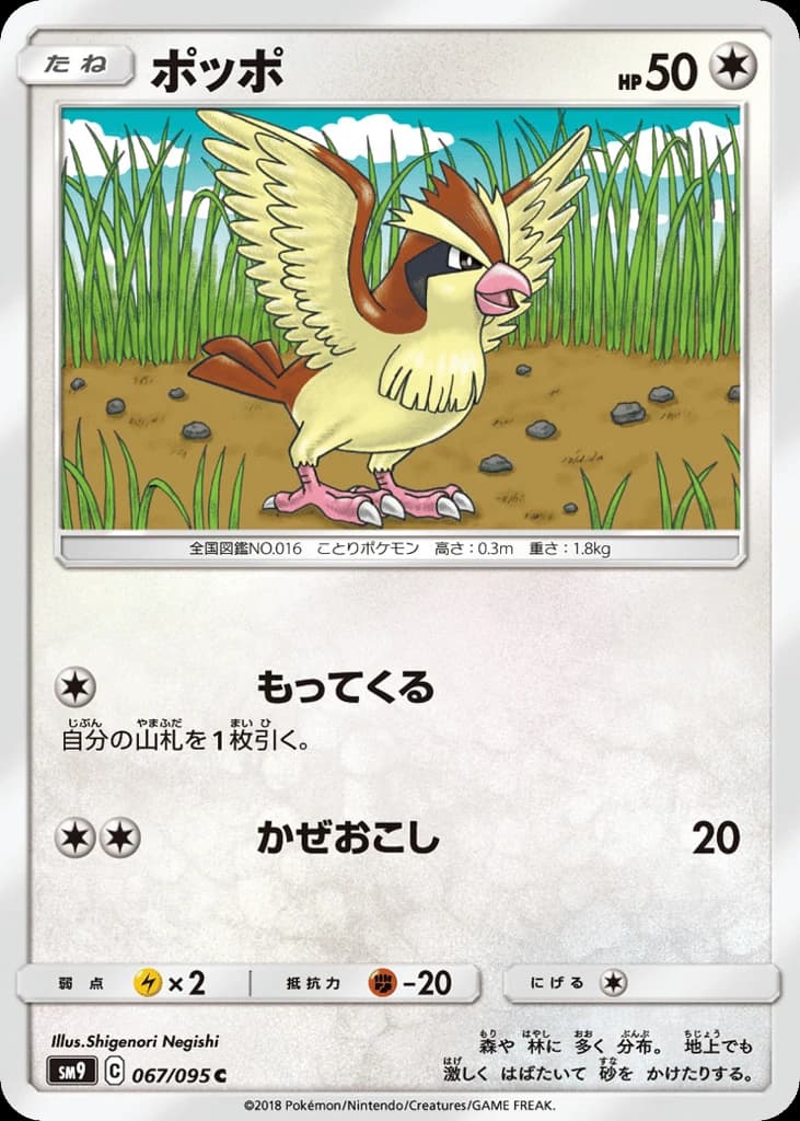 Pidgey (67)
