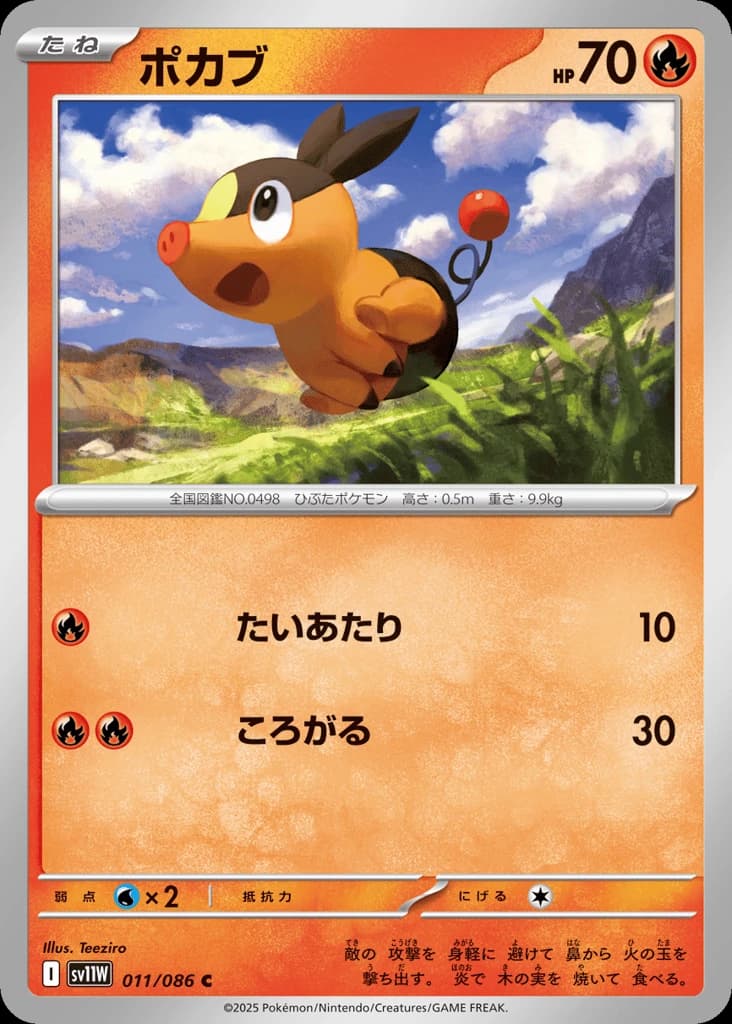 Tepig (11)