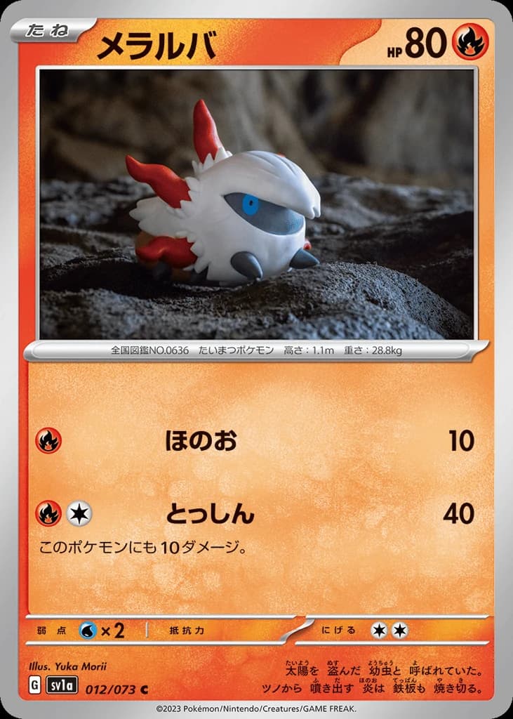 Larvesta (12)