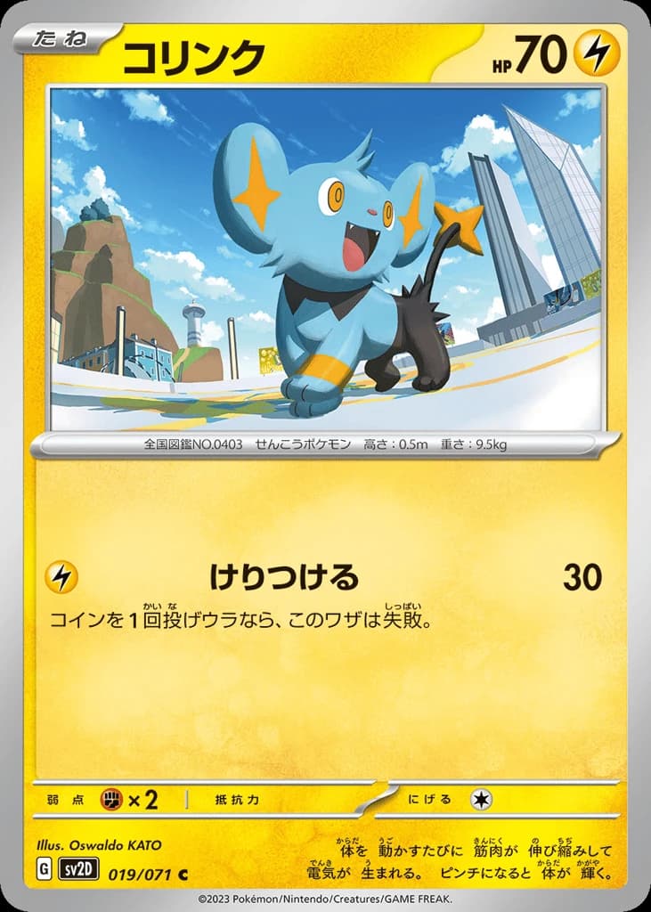 Shinx (19)