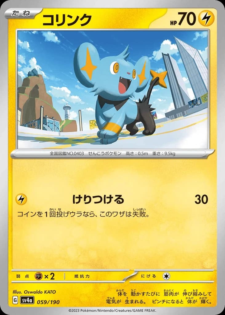 Shinx (59)