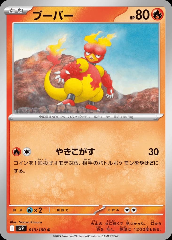 Magmar (13)