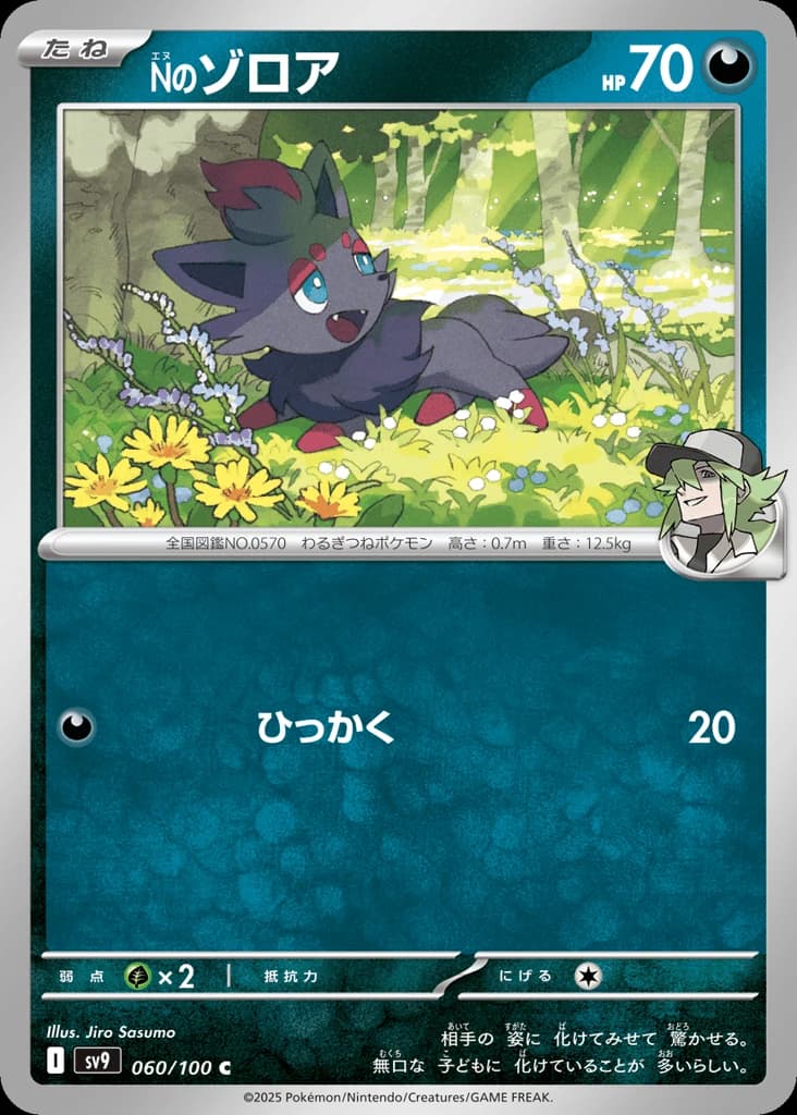N's Zorua (60)
