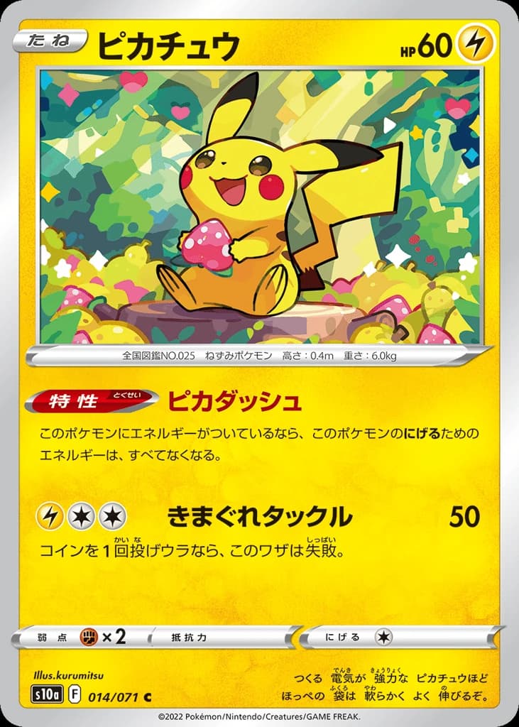 Pikachu (14)