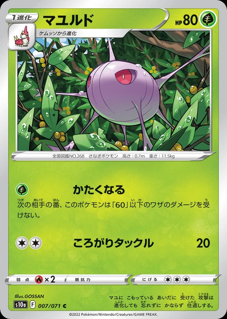 Cascoon (7)