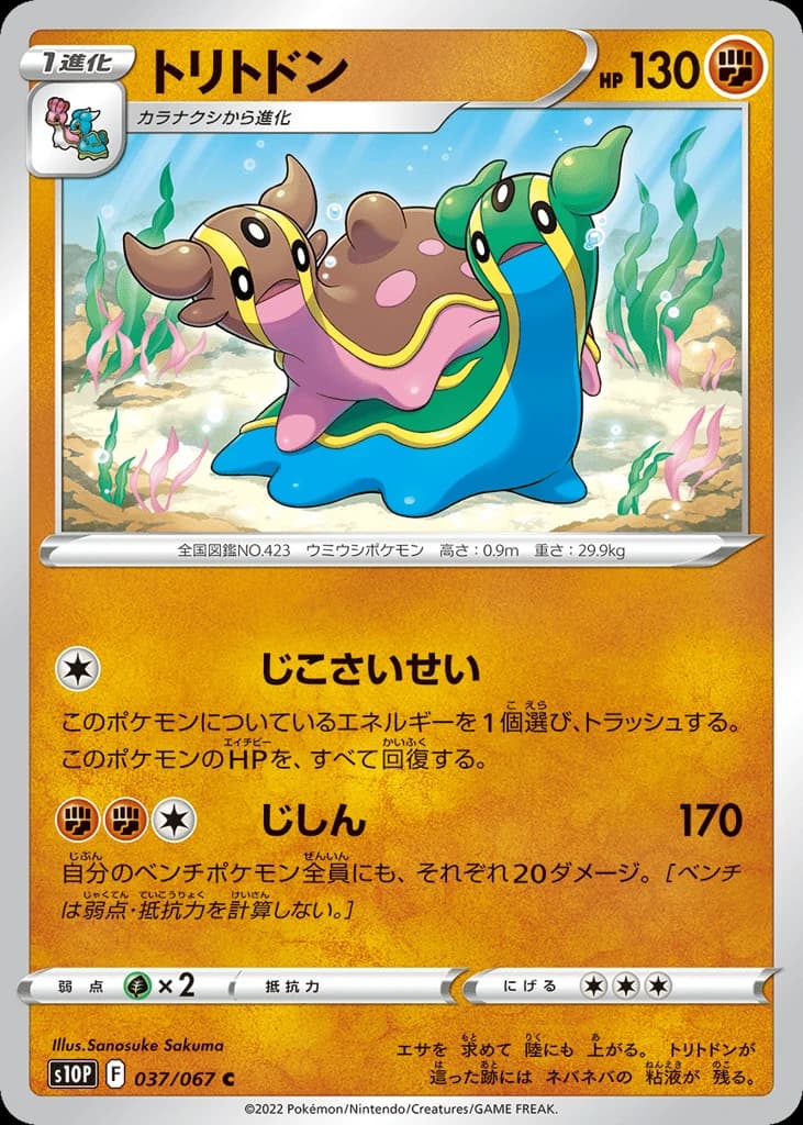 Gastrodon (37)