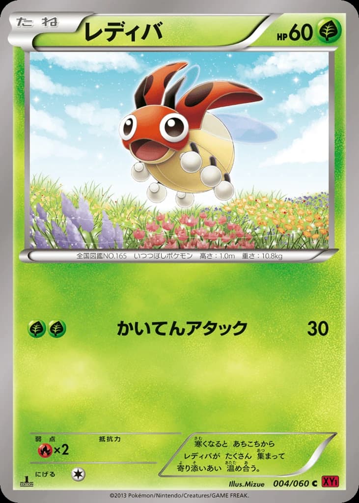 Ledyba (4)