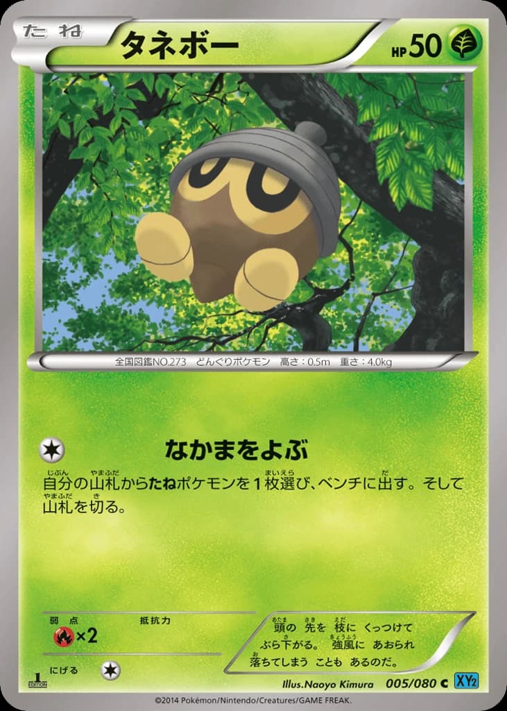Seedot (5)