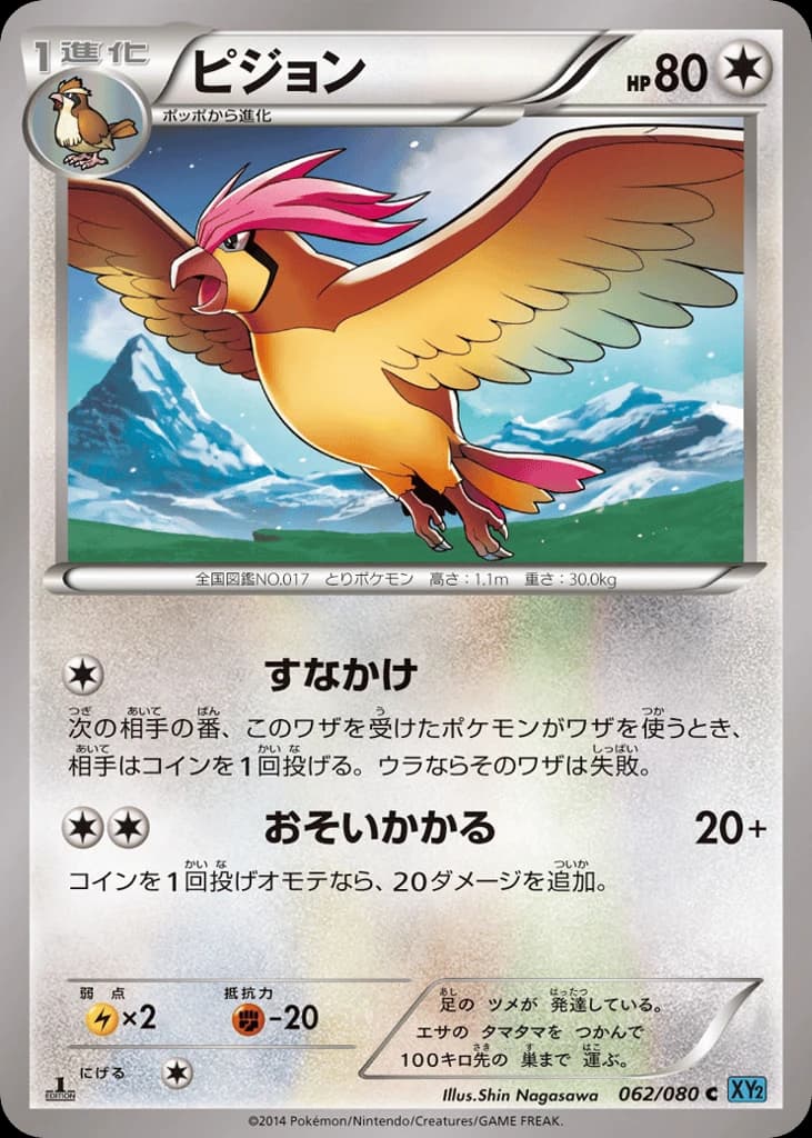 Pidgeotto (62)