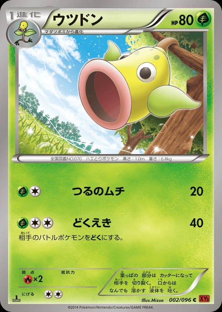 Weepinbell (2)