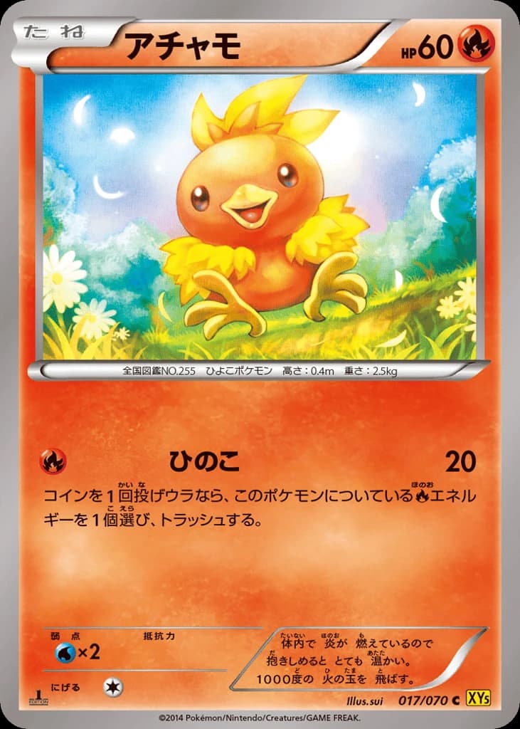 Torchic (17)