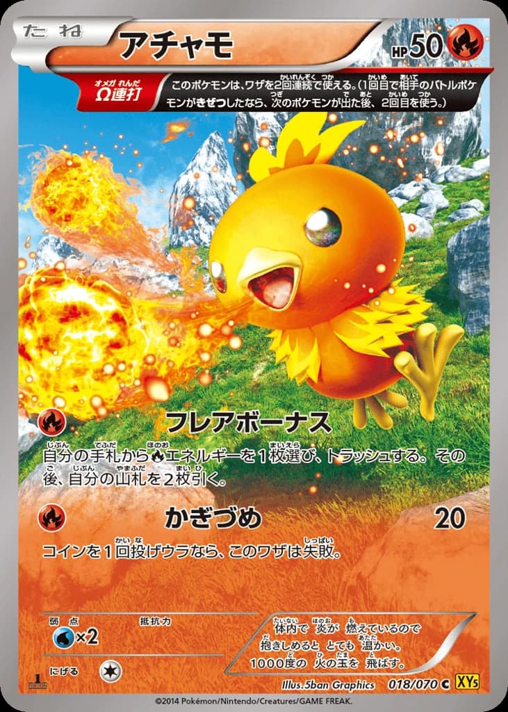 Torchic (18)