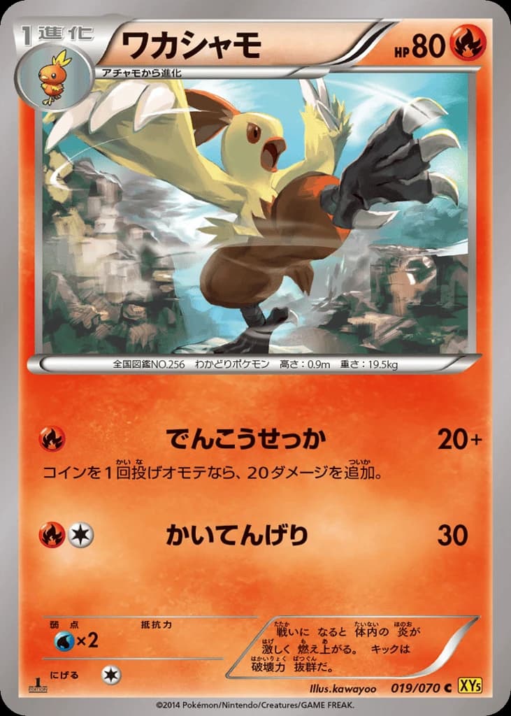 Combusken (19)