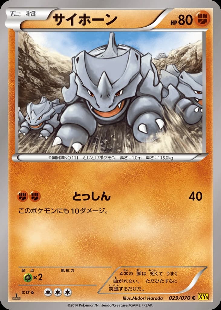 Rhyhorn (29)
