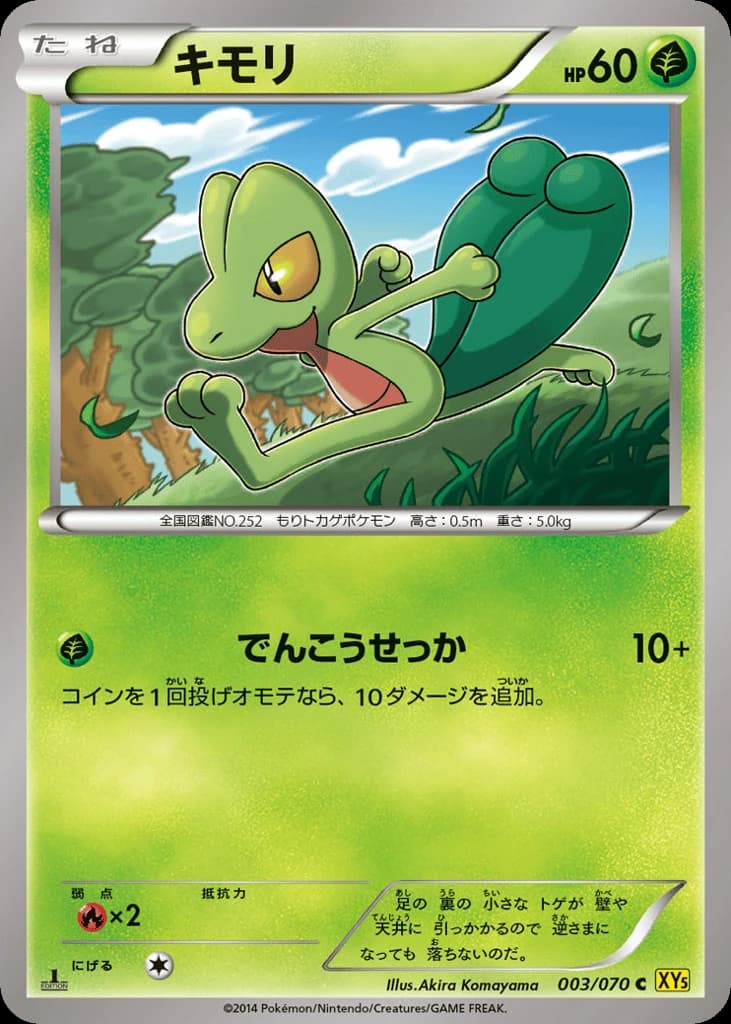 Treecko (3)
