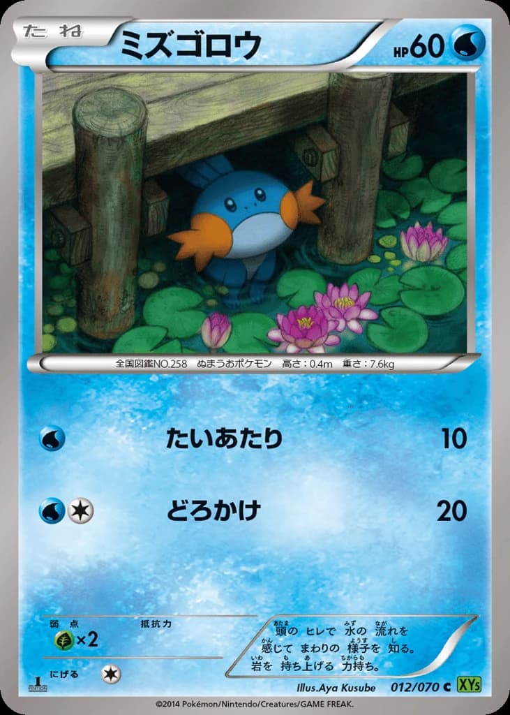 Mudkip (12)