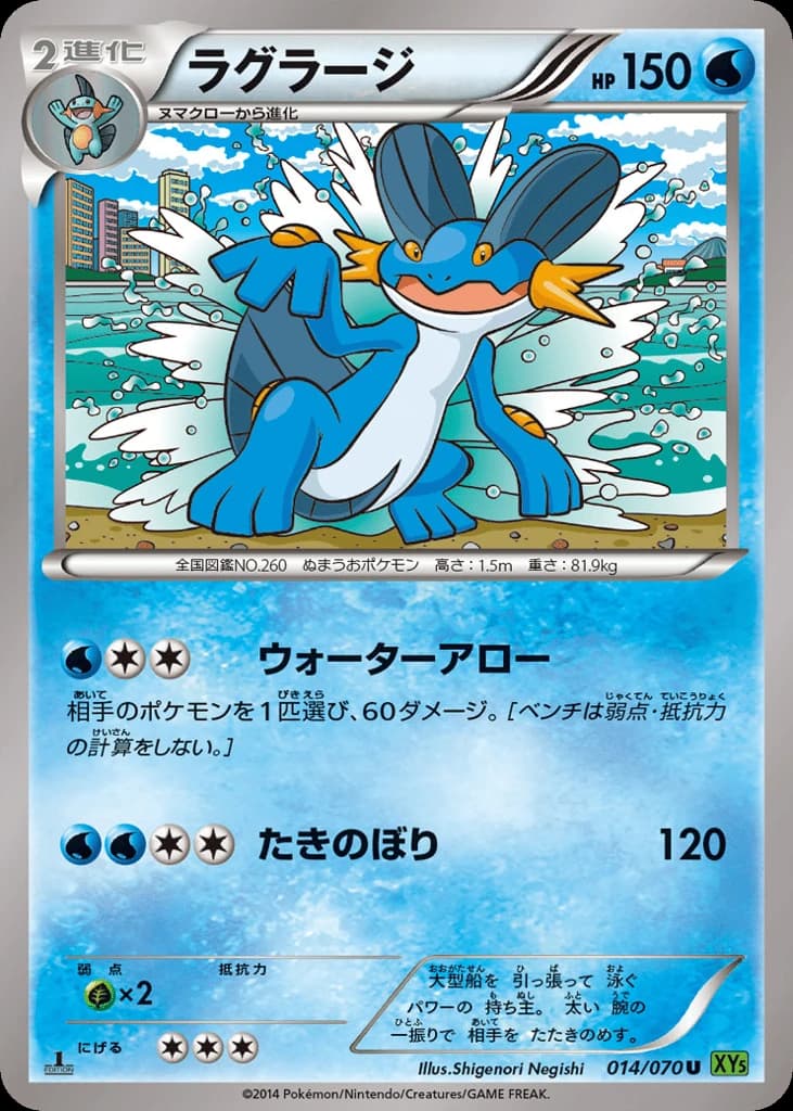 Swampert (14)