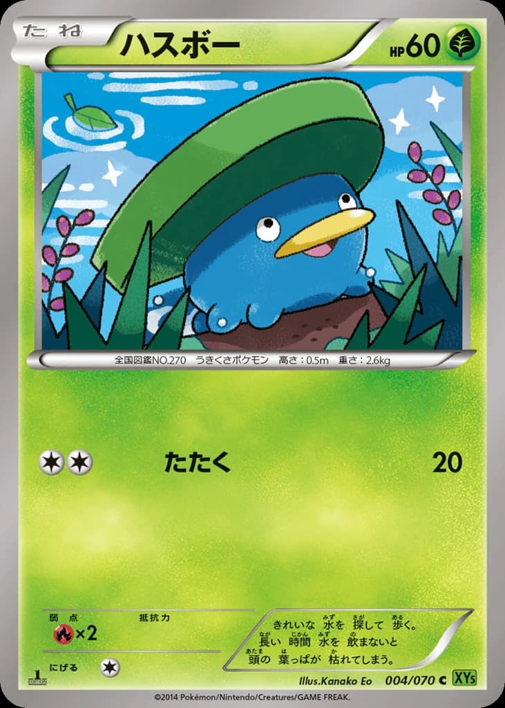 Lotad (4)
